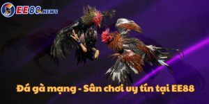 Sân chơi uy tín có thể tham gia trực tiếp trên các thiết bị thông minh.