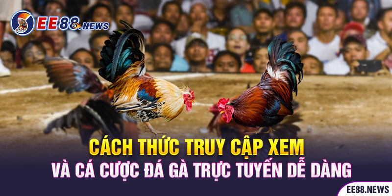 Cách thức truy cập xem và cá cược dễ dàng