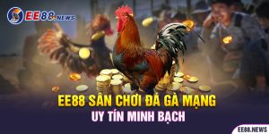 EE88 - Điểm đến lý tưởng cho những ván đá gà mạng