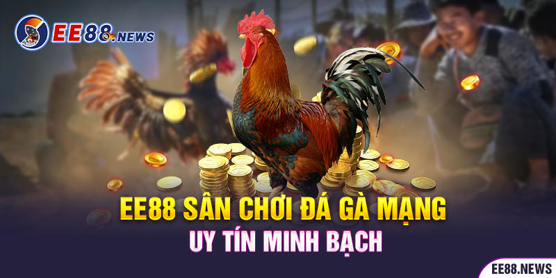 EE88 - Điểm đến lý tưởng cho những ván đá gà mạng