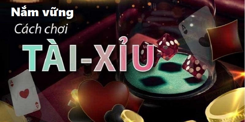 Nắm vững kỹ càng cách chơi tài xỉu luôn thắng